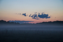 Солнце начинало новый день. Туман стлался по полям, Небо наливалось цветом....