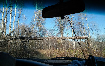 Дорога заросла, много поваленных деревьев...
