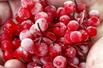 Витамины в замороженных фруктах, овощах, грибах и ягодах