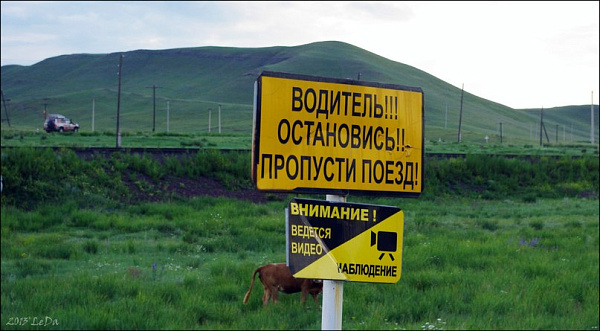 vUNyI11Z09Q.jpg