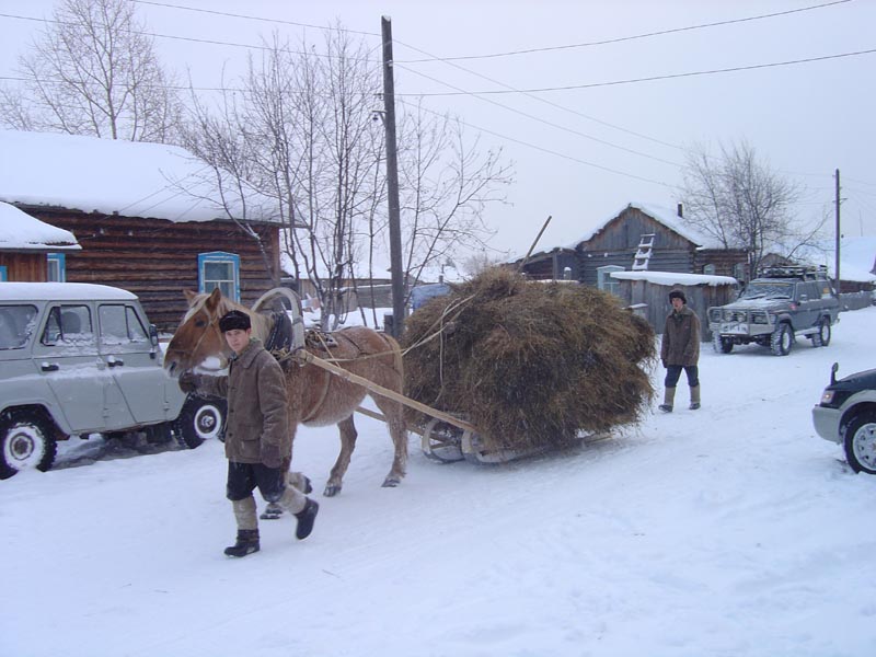 metel05503