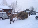 metel05503