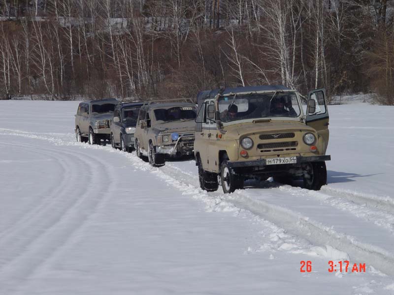 Berdsk25