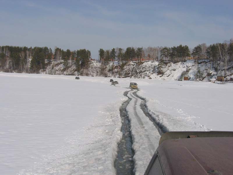 Berdsk59