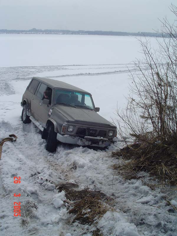 Berdsk77