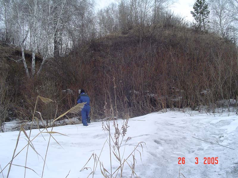 Berdsk79