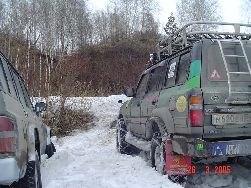 Berdsk81