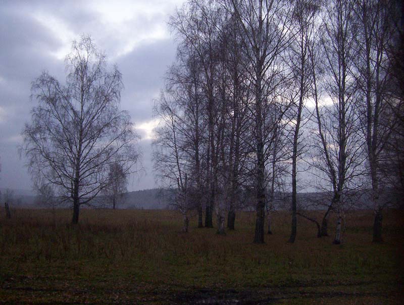 100_1649