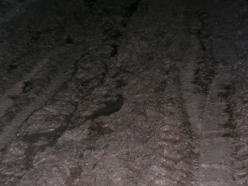 PICT0247