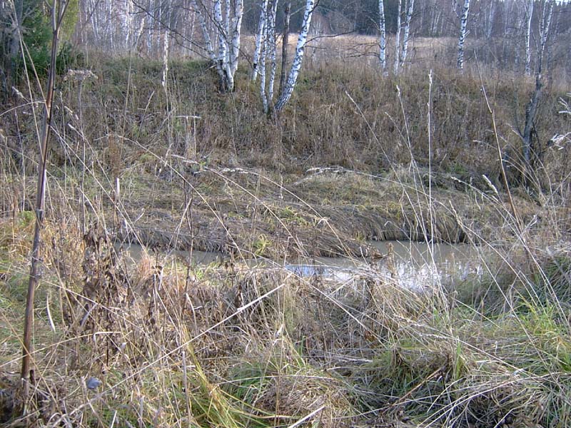 SV300038
