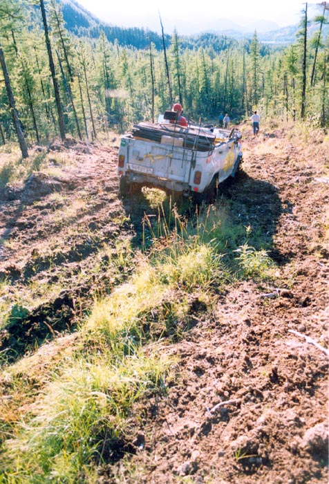 tofalar20009