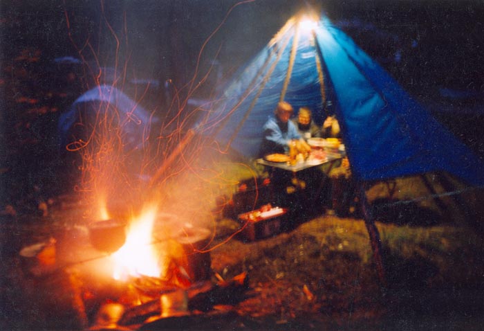 tofalarb0033