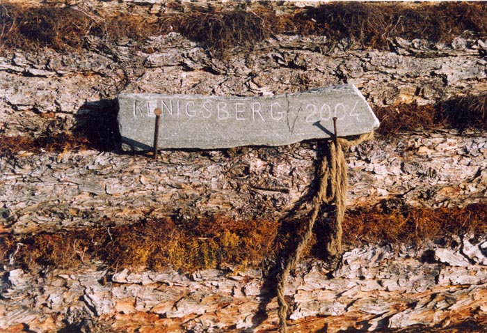 tofalarb0036