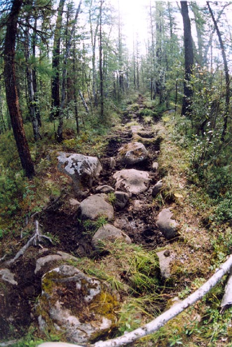 tofalarb0041