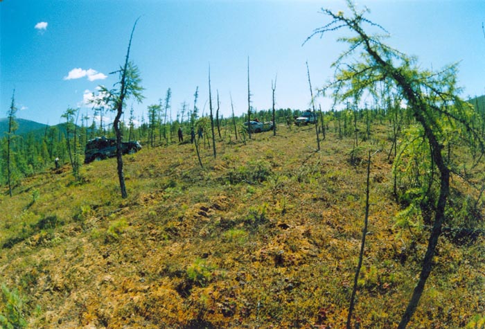 tofalarb0046