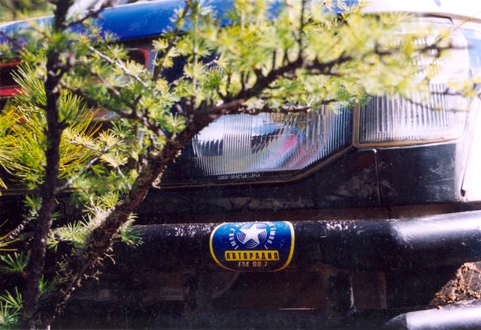 tofalarb0143