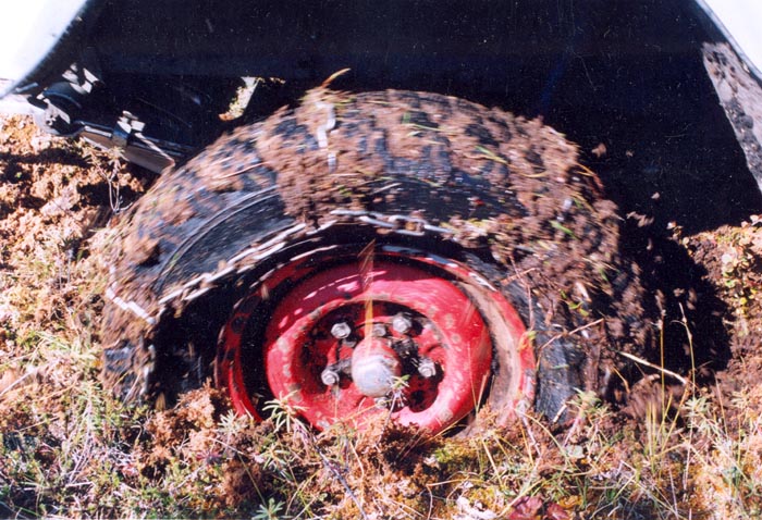 tofalarb0145
