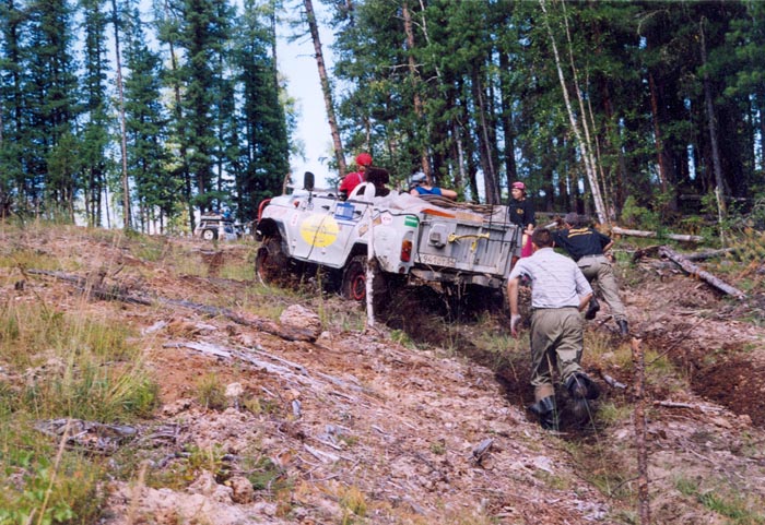 tofalarb0160