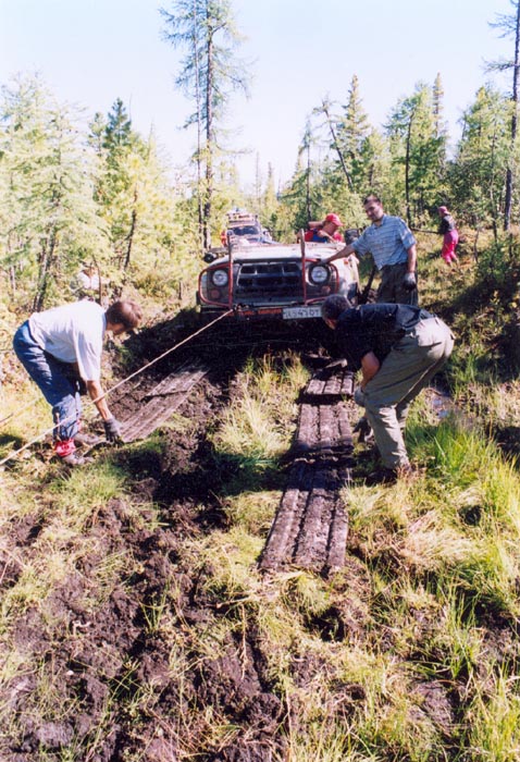tofalarb0163