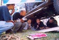 tofalar20001