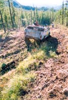 tofalar20009