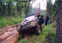 tofalar40016