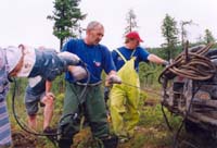 tofalarb0013
