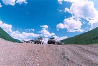 tofalarb0099