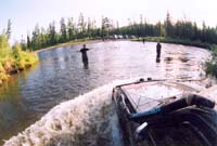 tofalarb0118