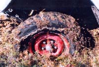 tofalarb0145