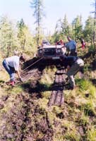 tofalarb0163