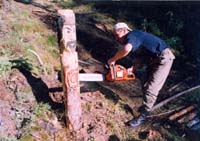 tofalarb0180