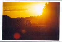 tofalarb0198