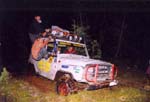 tofalar60005