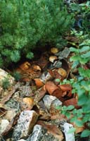 img041