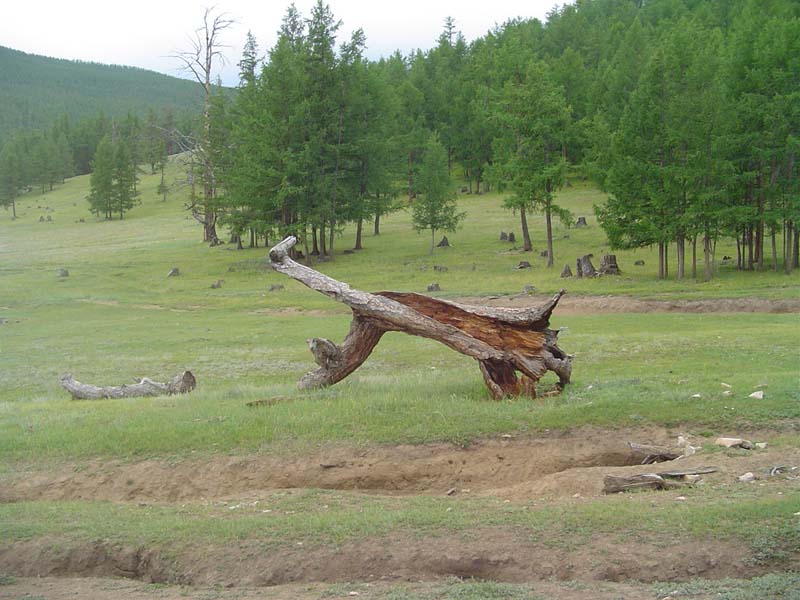 80109