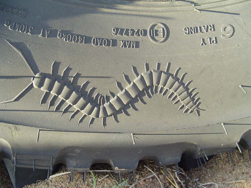 81312