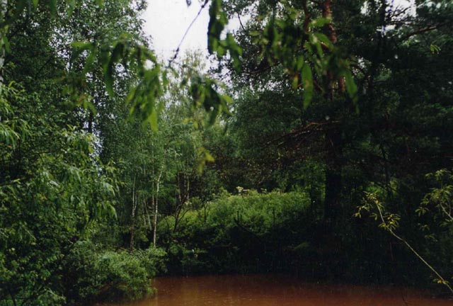 img044
