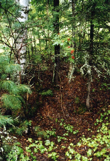 img049