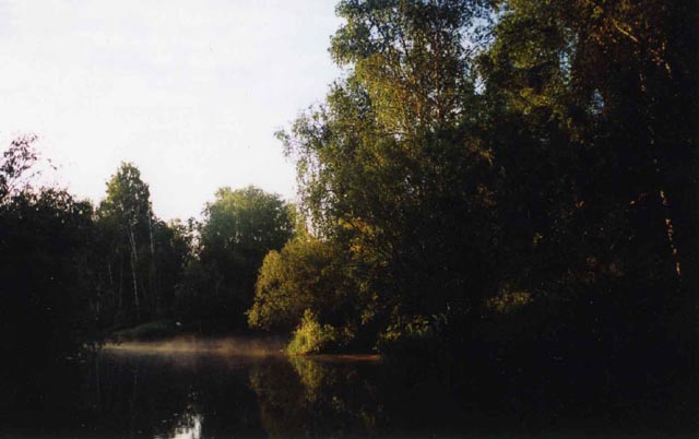 img051