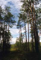img053