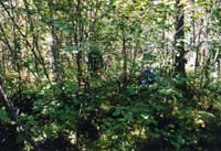 img159
