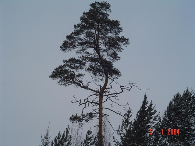 DSC00579