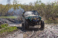 IMG_8674.jpg