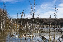 IMG_4194.jpg