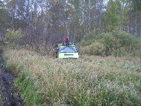IMG_3382.JPG