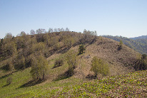 IMG_7966.jpg
