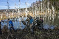 IMG_4329.jpg