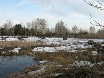 IMG_0437.JPG
