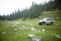 Sample-0014.jpg